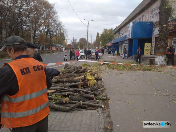 Коммунальщики спилили дерево в центре Авдеевки:  многие горожане недовольны (ФОТО)