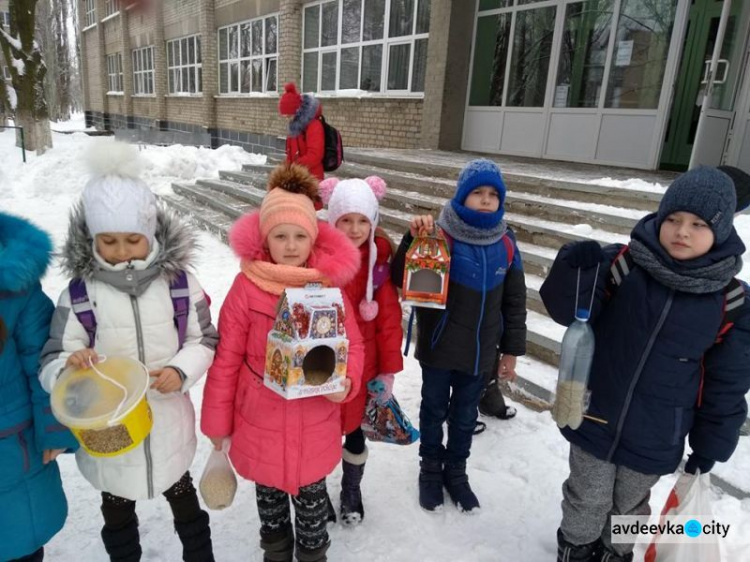 Авдеевские школьники презентовали учебный проект «Птичья столовая» (ФОТОФАКТ)