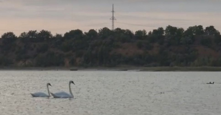 В Авдеевке показали символ мира: опубликовано видео