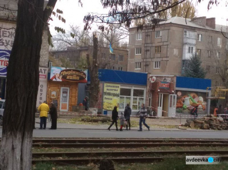 Коммунальщики спилили дерево в центре Авдеевки:  многие горожане недовольны (ФОТО)